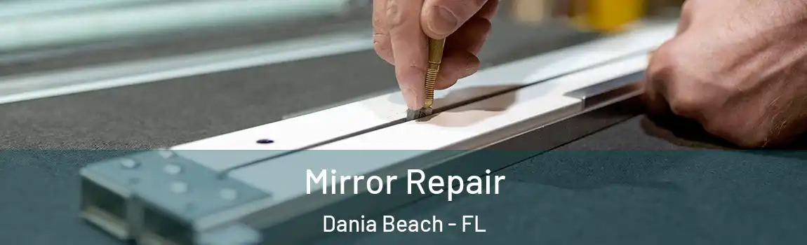 Mirror Repair Dania Beach - FL